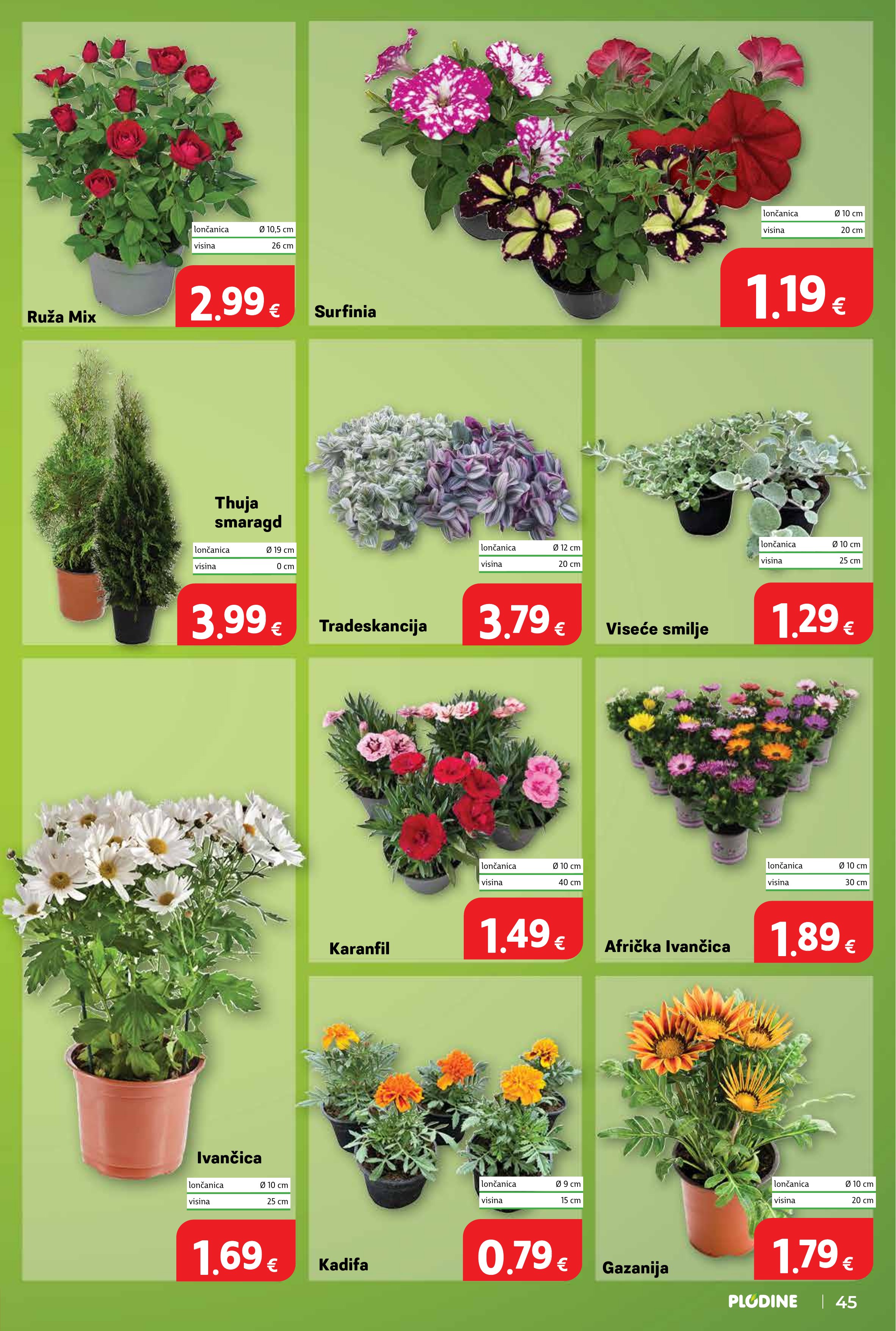 Plodine katalog — stranica 45 (vrijedi 29. 04. 2026.–05. 05. 2026.)