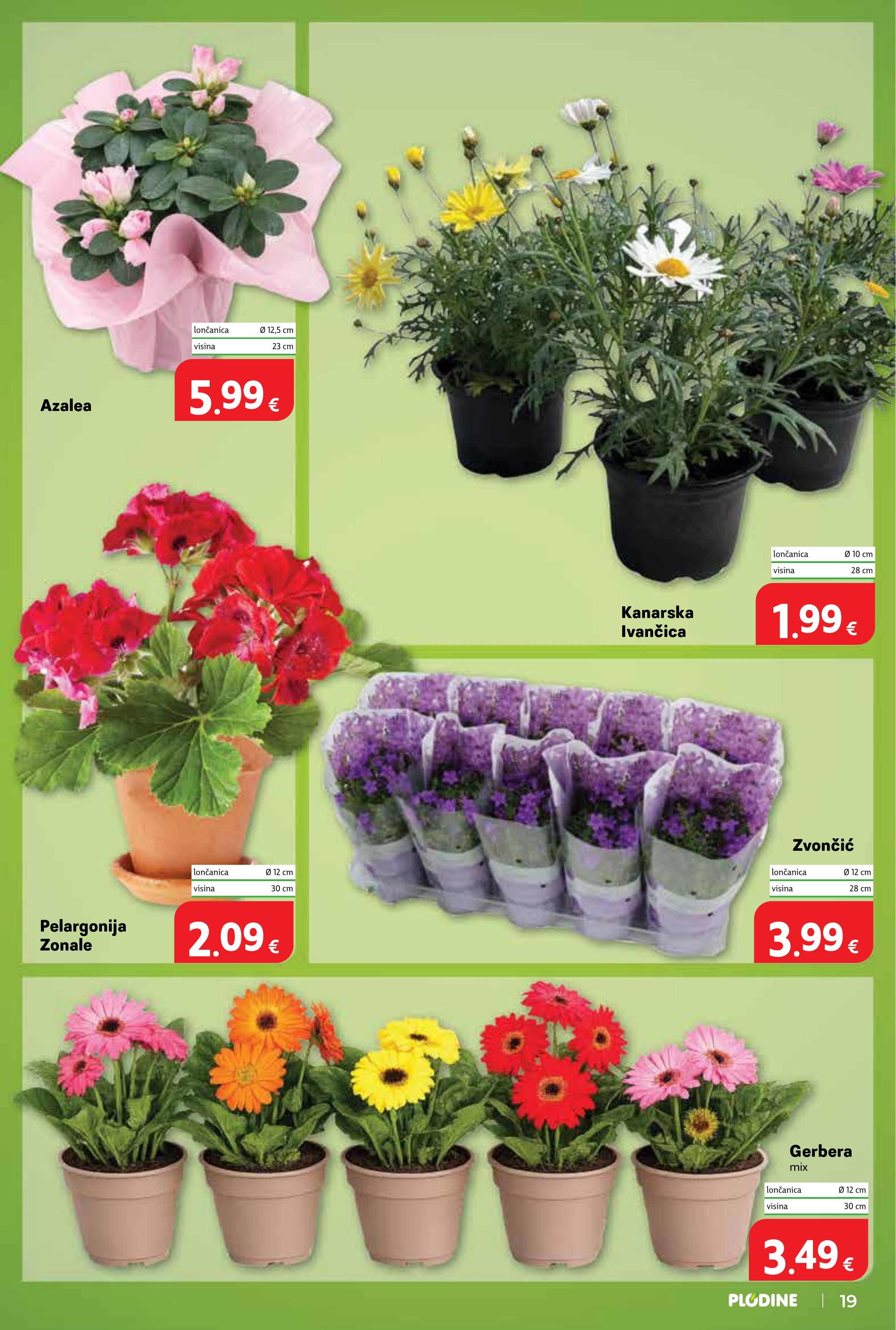 Plodine katalog — stranica 19 (vrijedi 06. 05. 2026.–12. 05. 2026.)