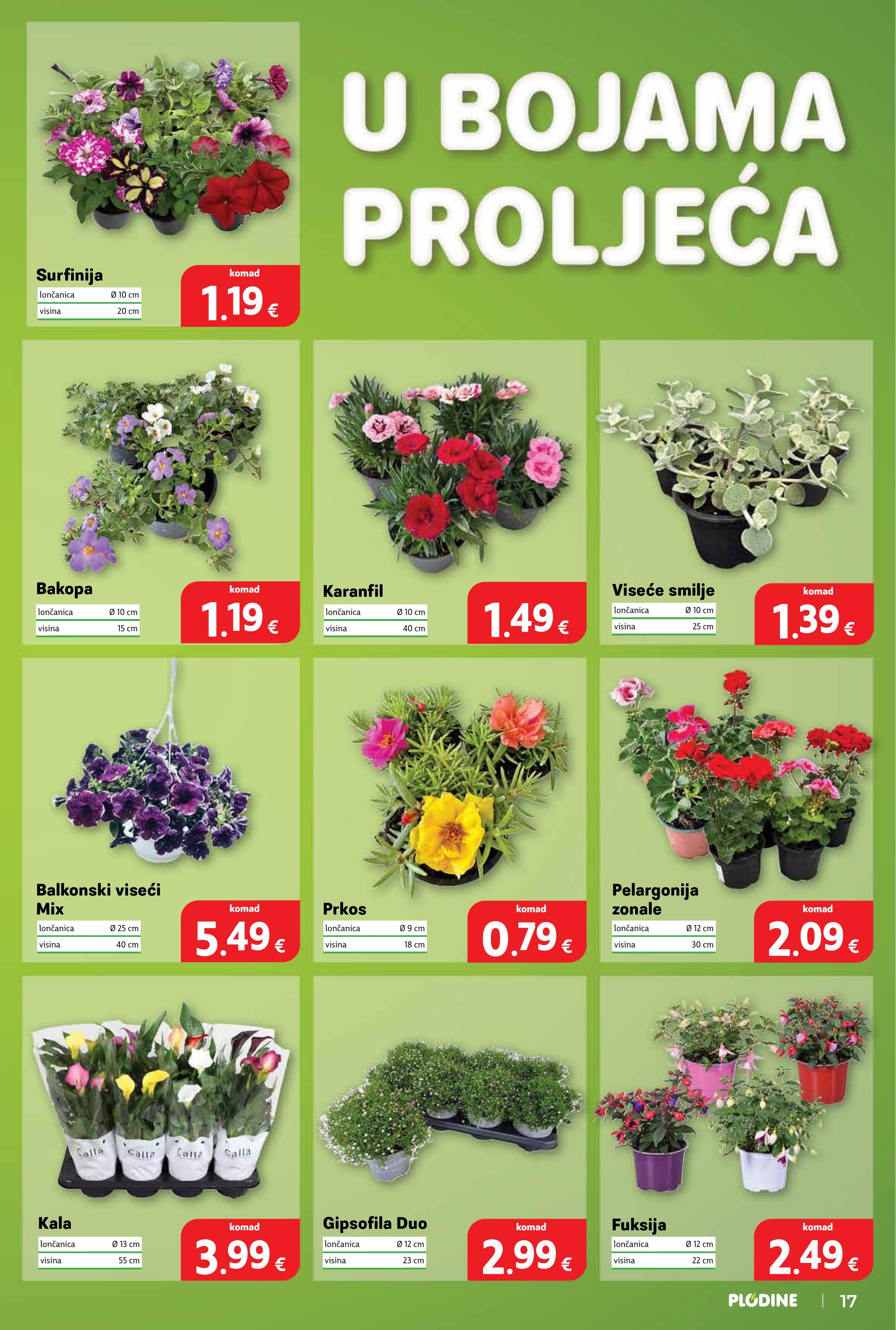 Plodine katalog — stranica 19 (vrijedi 20. 05. 2026.–26. 05. 2026.)