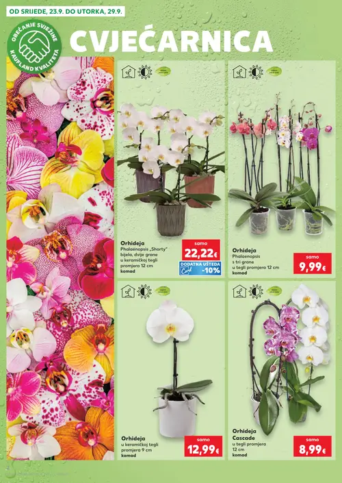 Kaufland katalog — stranica 2: Orhideja Phalaenopsis „Shorty“, Orhideja Phalaenopsis, Orhideja u keramičkoj tegli, Orhideja Cascade (vrijedi 23. 09. 2026.–29. 09. 2026.)