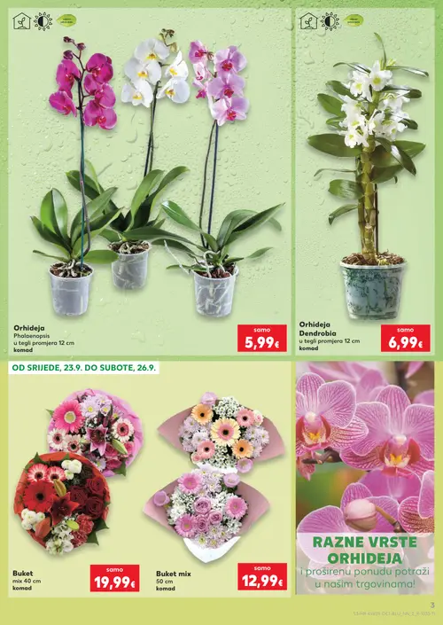 Kaufland katalog — stranica 3: Orhideja Phalaenopsis, Orhideja Dendrobia, Buket mix, Buket mix (vrijedi 23. 09. 2026.–29. 09. 2026.)