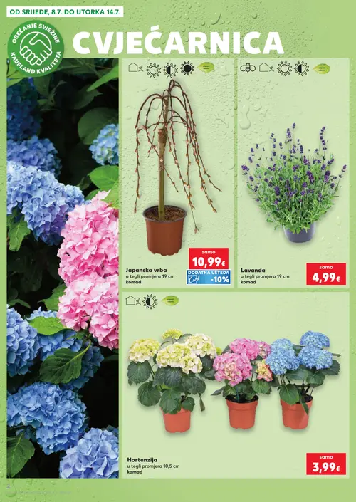 Kaufland katalog — stranica 2: Japanska vrba u tegli promjera 19 cm, Lavanda u tegli promjera 19 cm, Hortenzija u tegli promjera 10,5 cm (vrijedi 08. 07. 2026.–14. 07. 2026.)