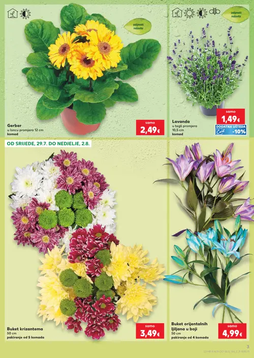 Kaufland katalog — stranica 3: Buket krizantema 50 cm, Lavanda u tegli promjera 10,5 cm, Gerber u loncu promjera 12 cm, Buket orijentalnih ljiljana u boji 50 cm (vrijedi 29. 07. 2026.–05. 08. 2026.)