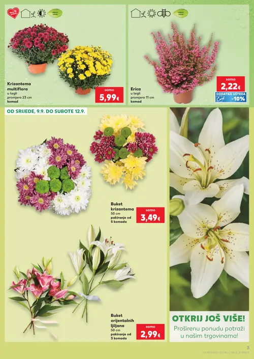 Kaufland katalog — stranica 3: Krizantema multiflora u tegli, Erica u tegli, Buket krizantema, Buket orijentalnih ljiljana (vrijedi 09. 09. 2026.–15. 09. 2026.)