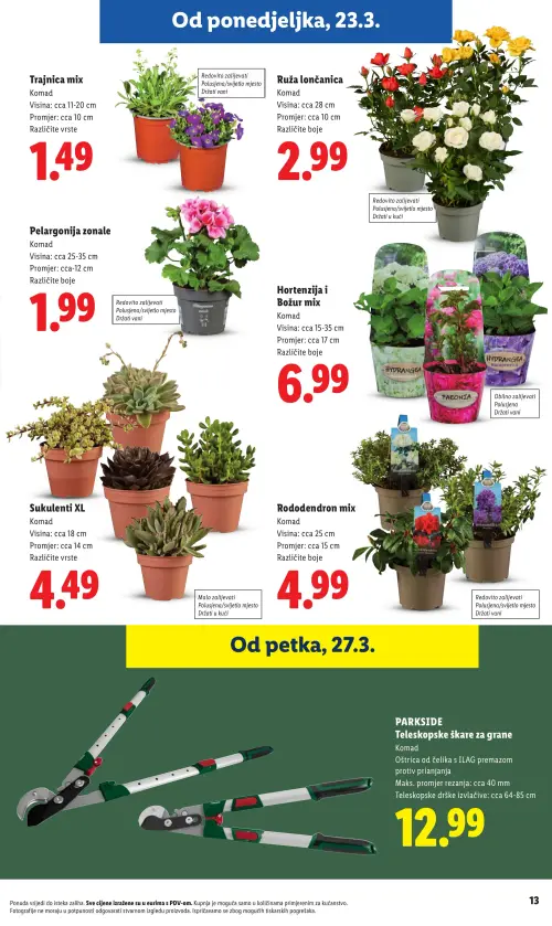 Lidl katalog — stranica 13: Sukulenti XL, Trajnjica mix, Ruža lončanica, Pelargonija zonale (vrijedi 23. 02. 2026.–01. 07. 2026.)