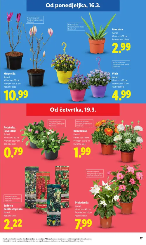 Lidl katalog — stranica 17: Aloe Vera, Magnolija, Viola, Potočnica (Myosotis) (vrijedi 23. 02. 2026.–01. 07. 2026.)