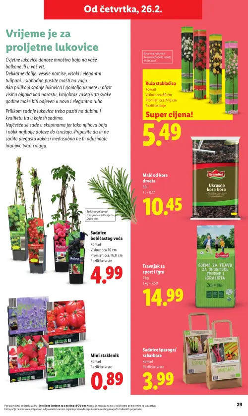 Lidl katalog — stranica 29: Ruža stablašica, Grandi-ol Ukrana kora bora, Sadnice bobičastog voća, Grandi-ol Travnjak za sport i igru (vrijedi 23. 02. 2026.–01. 07. 2026.)