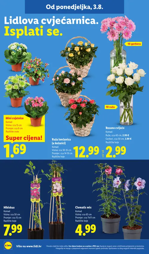 Lidl katalog — stranica 50 (vrijedi 03. 08. 2026.–09. 08. 2026.)