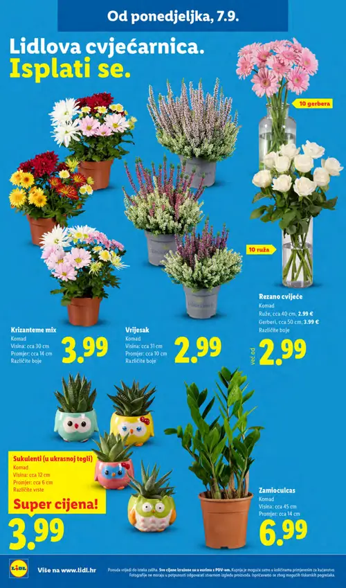 Lidl katalog — stranica 60 (vrijedi 07. 09. 2026.–13. 09. 2026.)