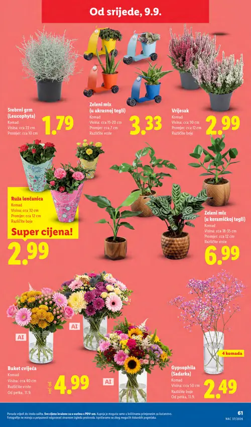 Lidl katalog — stranica 61 (vrijedi 07. 09. 2026.–13. 09. 2026.)