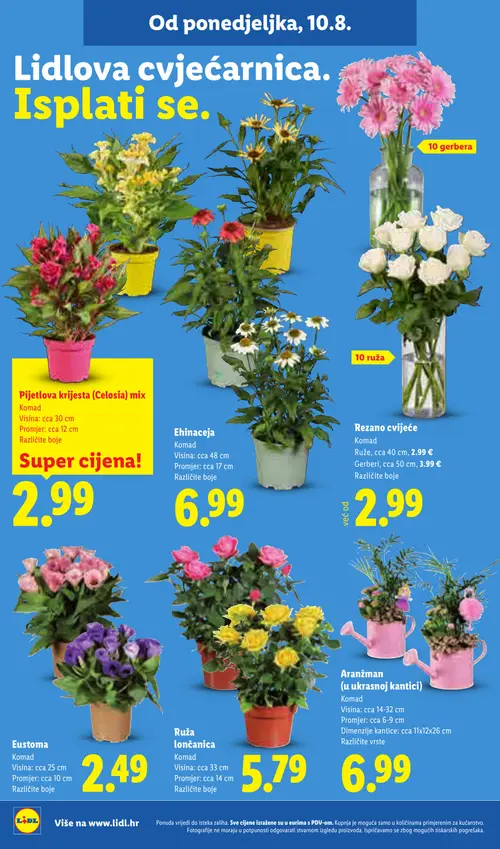 Lidl katalog — stranica 50 (vrijedi 10. 08. 2026.–16. 08. 2026.)