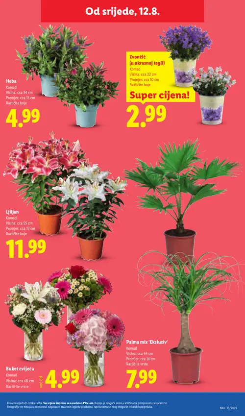 Lidl katalog — stranica 51 (vrijedi 10. 08. 2026.–16. 08. 2026.)