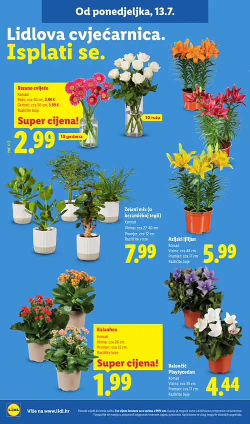 Lidl katalog — stranica 50 (vrijedi 13. 07. 2026.–19. 07. 2026.)