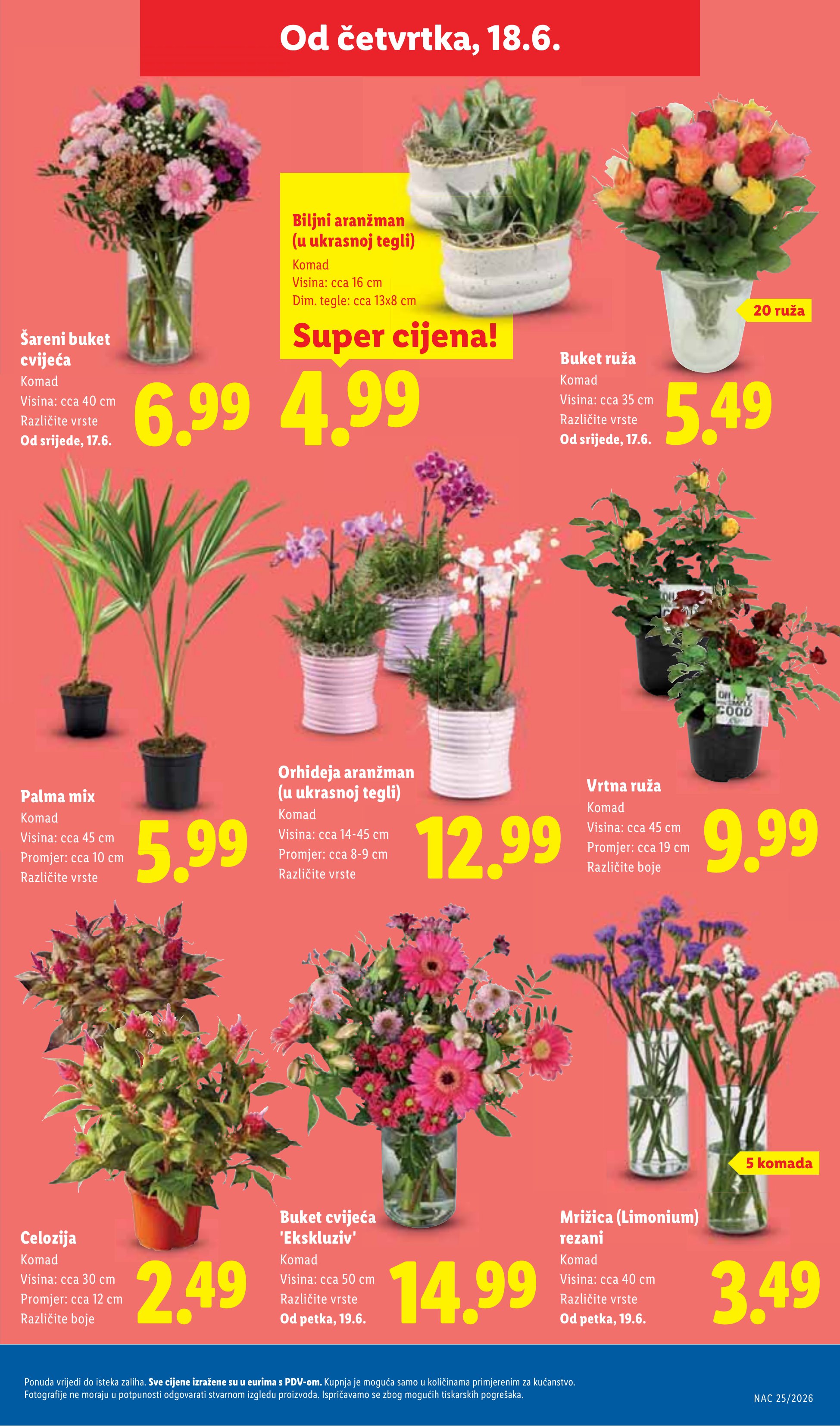 Lidl katalog — stranica 47: Šareni buket cvijeća, Biljni aranžman (u ukrasnoj tegli), Buket ruža, Palma mix (vrijedi 15. 06. 2026.–21. 06. 2026.)
