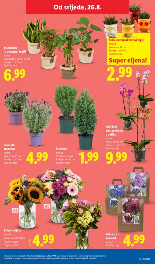 Lidl katalog — stranica 47: Zeleni mix (u ukrasnoj tegli) (vrijedi 24. 08. 2026.–30. 08. 2026.)