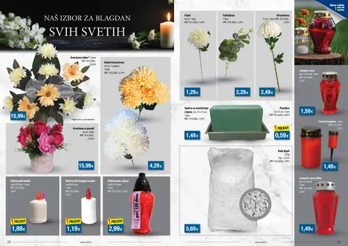 NTL katalog — stranica 12: Eukaliptus, Aranžman Jakov, Lampion vaza velika, Aranžman u posudi (vrijedi 07.10.–13.10.2026.)