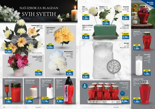 NTL katalog — stranica 12: Krizantema, Eukaliptus, Aranžman u posudi, Spužva za aranžiranje cvijeća (vrijedi 07.10.–13.10.2026.)