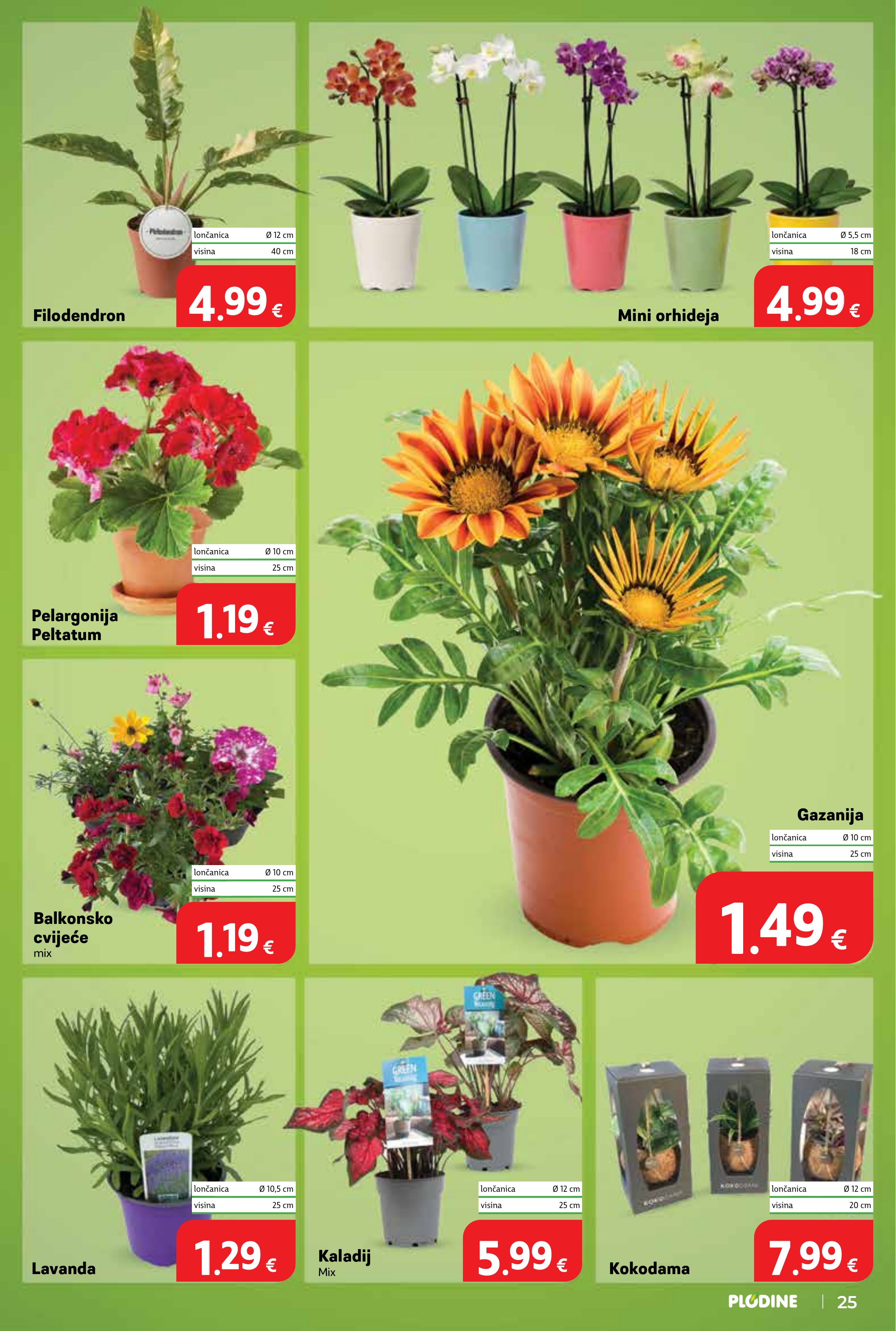 Plodine katalog — stranica 25 (vrijedi 03. 06. 2026.–09. 06. 2026.)
