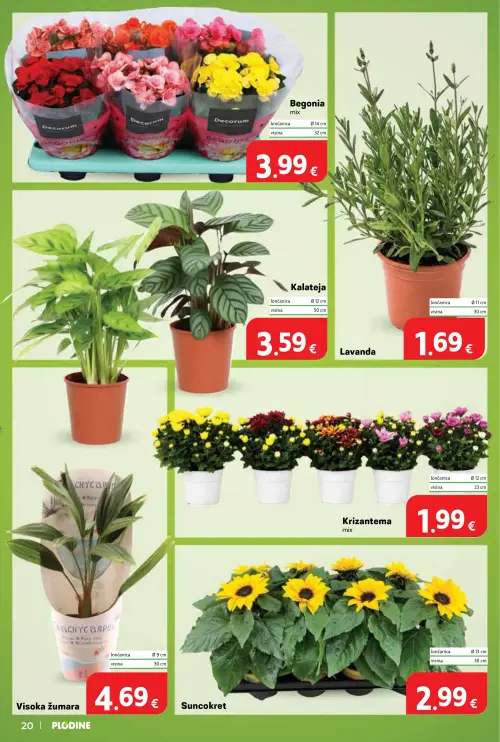 Plodine katalog — stranica 20 (vrijedi 24. 06. 2026.–30. 06. 2026.)