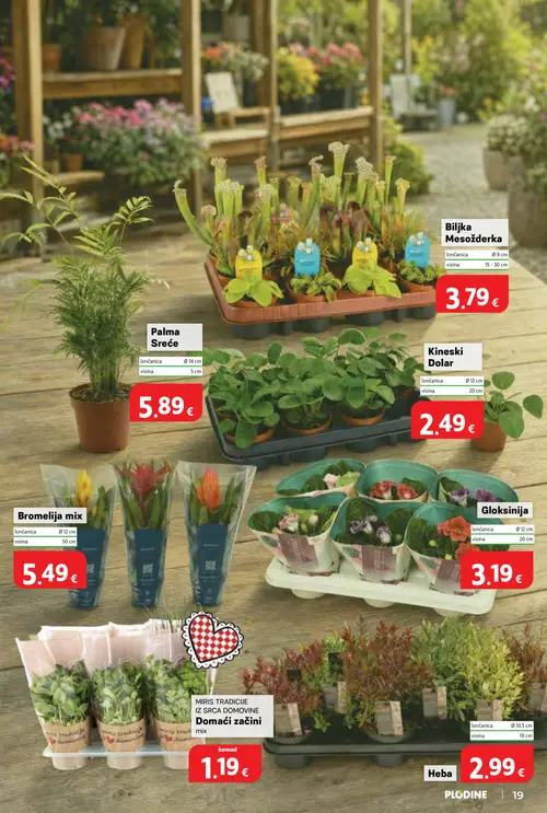 Plodine katalog — stranica 19: Heba Heba, MIRIS TRADICIJE IZ SRCA DOMOVINE Domaći začini mix, Gloxinija, Bromelija mix (vrijedi 29. 07. 2026.–04. 08. 2026.)