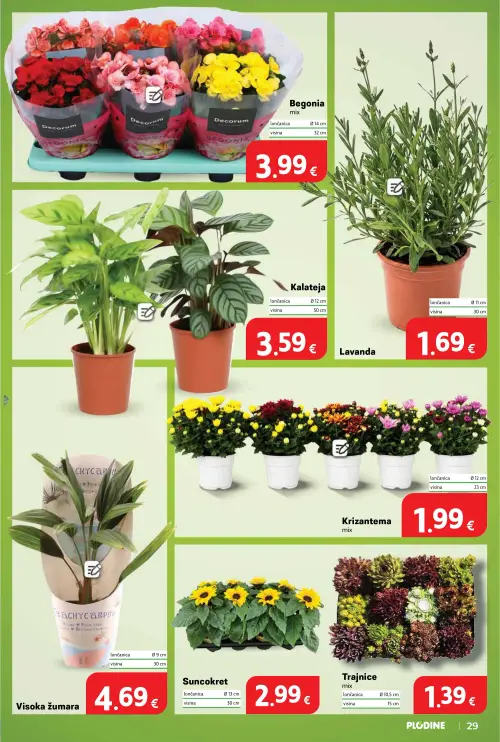 Plodine katalog — stranica 29 (vrijedi 25. 06. 2026.–30. 06. 2026.)