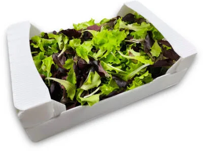 ZELENA SALATA 250g
