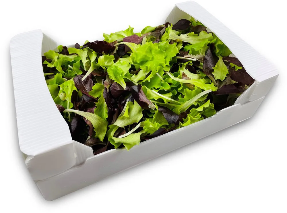 ZELENA I CRVENA SALATA 200g