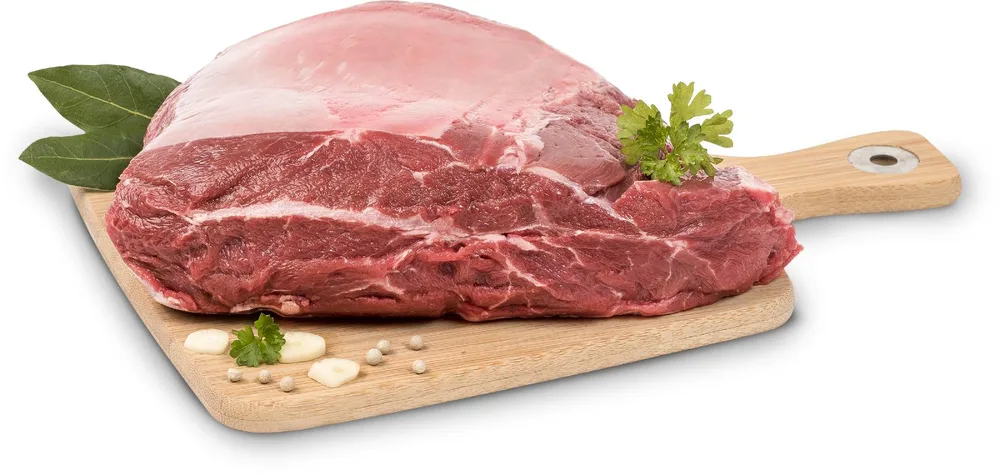 JUNEĆA LOPATICA BK