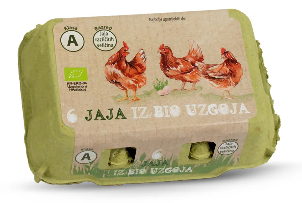 BIO JAJA 6/1
