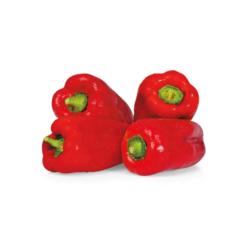 PAPRIKA CRVENA rfz