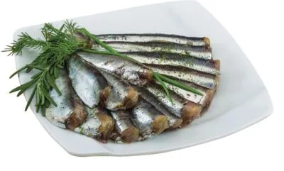 Srdela bez glave