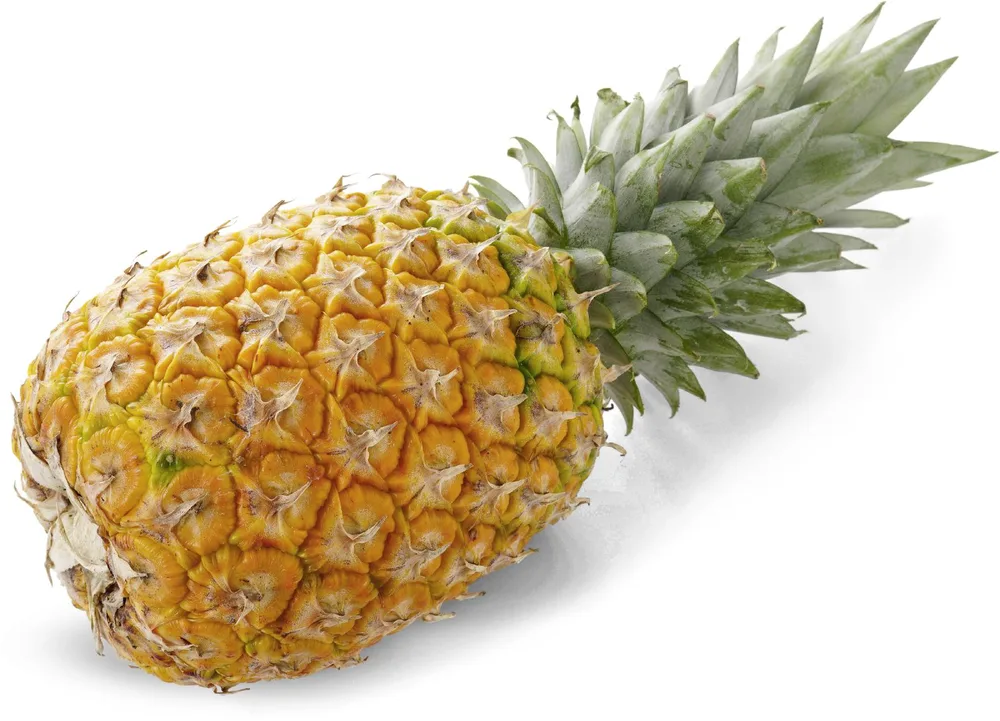 ANANAS GOLD rfz