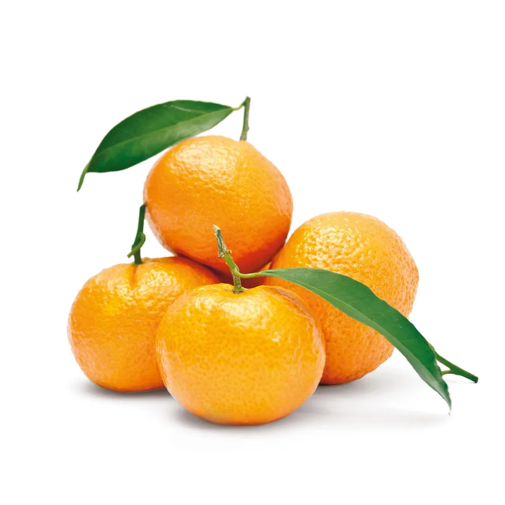 MANDARINA rfz