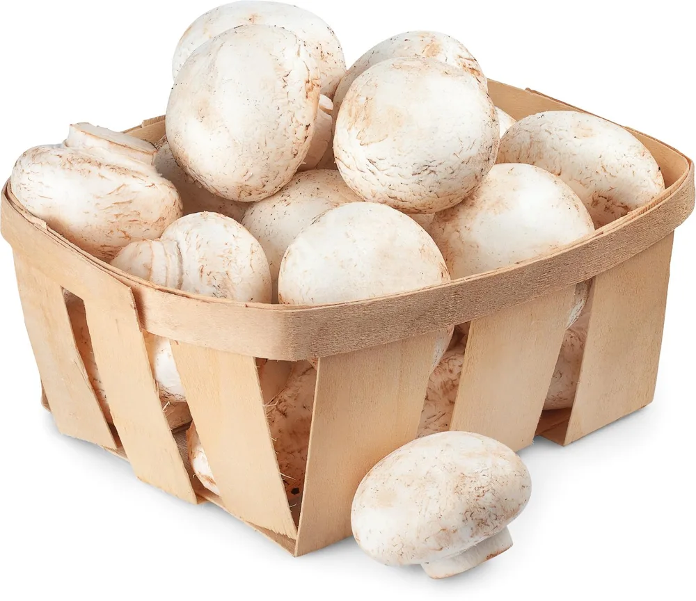 GLJIVA ŠAMPI. 250 g  VOĆ. STUDENAC