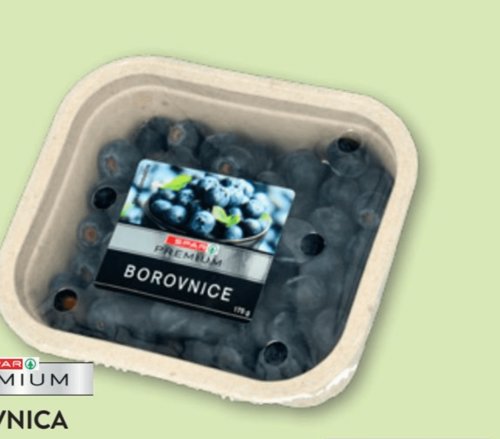 Borovnica