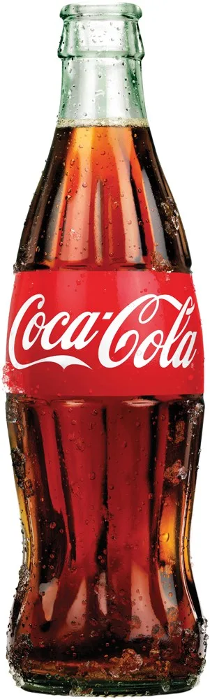 0,25L COCA-COLA 24/1 POV