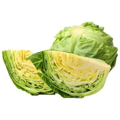 KUPUS SVJEŽI