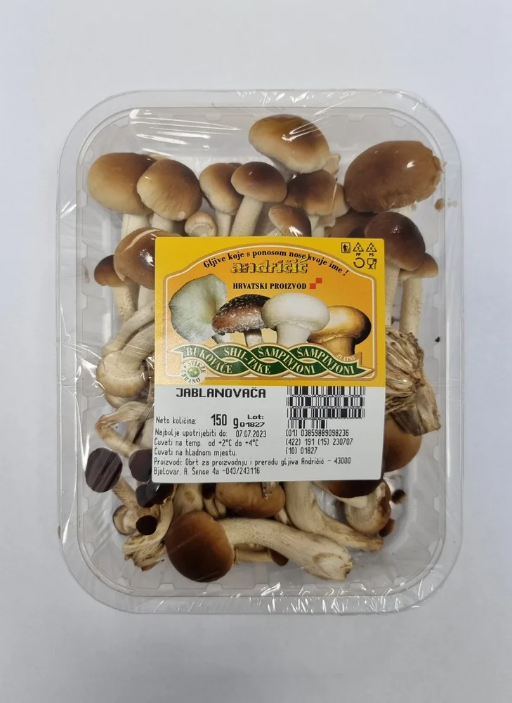 Gljive Jablanovače