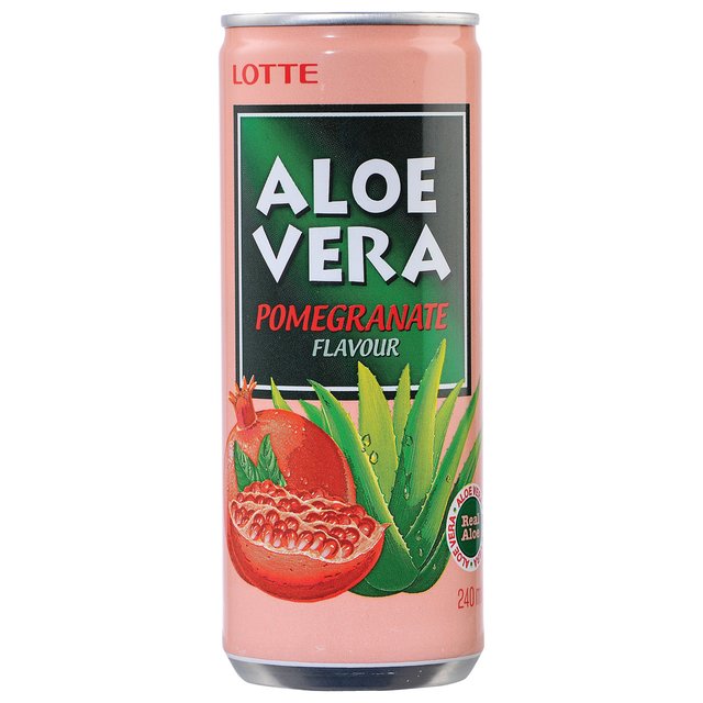 ALOE VERA LOTTE ŠIPAK 0.24L