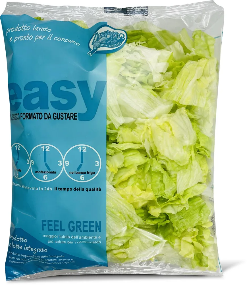 SALATA EISBERG 250g