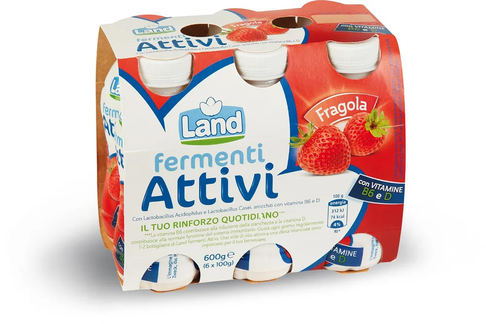 MLIJEČNI N.FERMENTI.JAGODA 6X100g