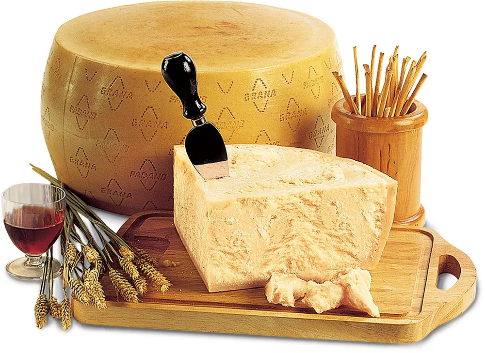 *GRANA PADANO 9 MJESECI