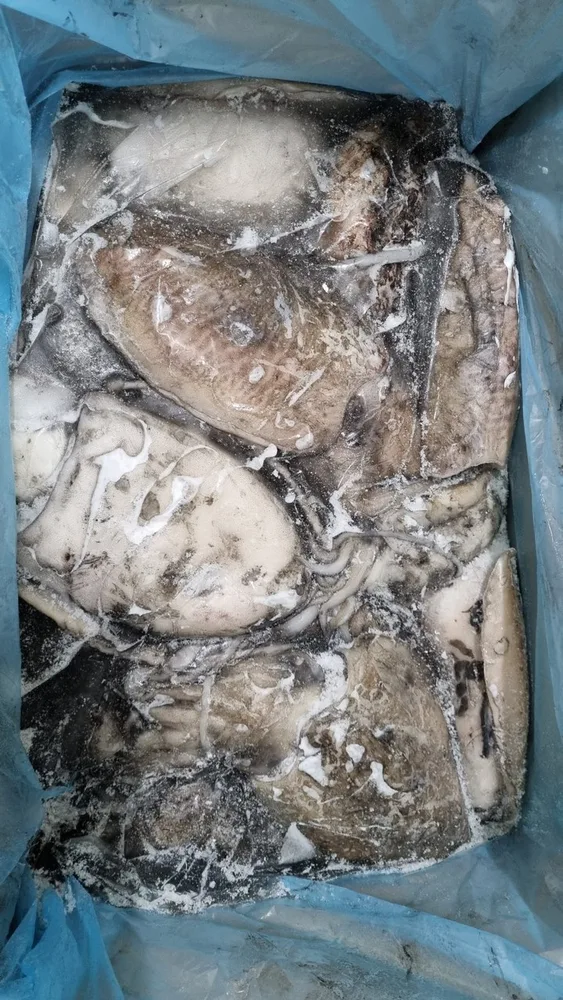 10KG SIPA ATL.NEOČ500-1000G10%
