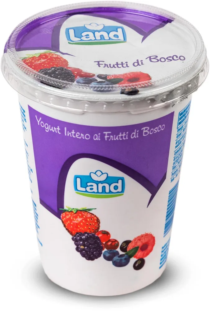 JOGURT ŠUMSKO VOĆE 500g