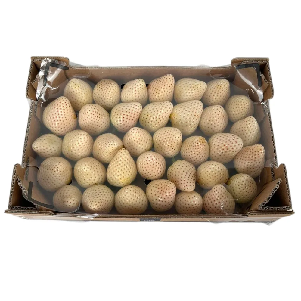 1 KG JAGODA BIJELA