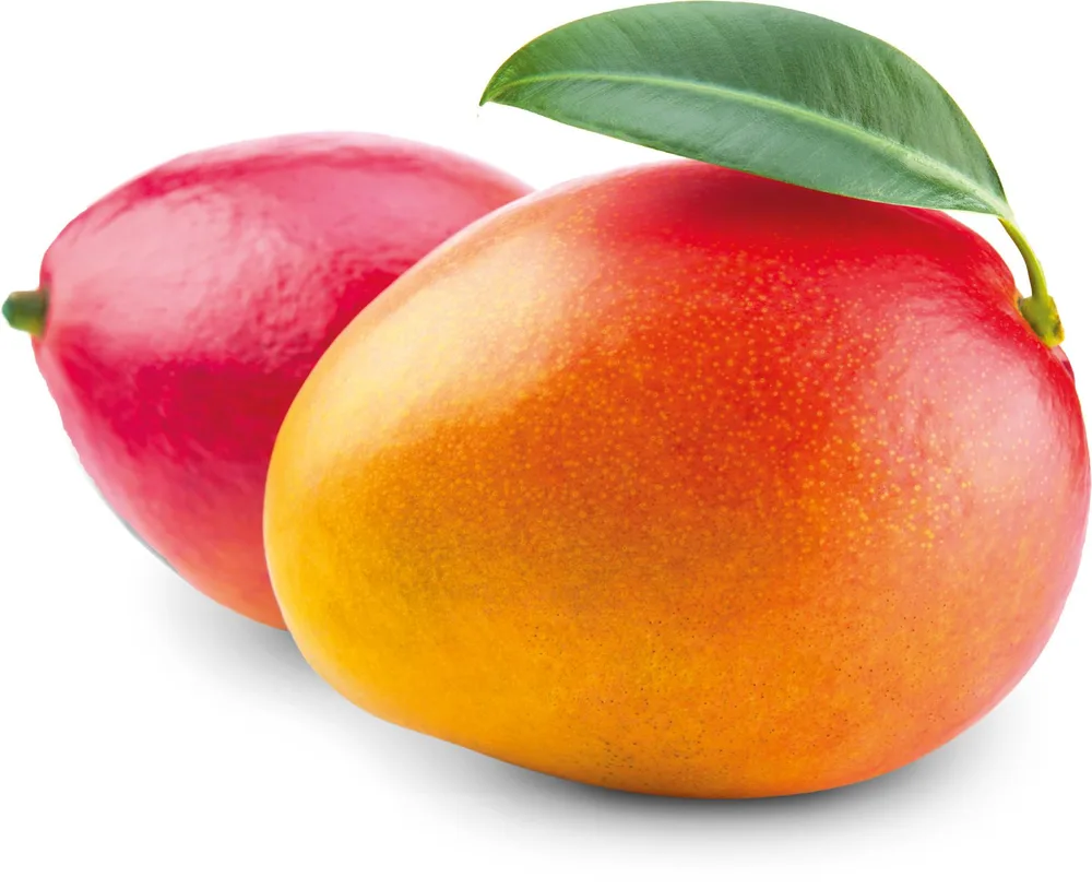 MANGO kom