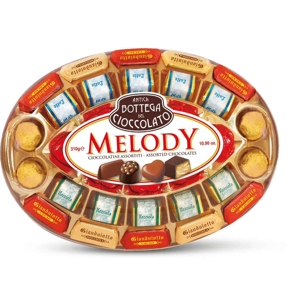 PRALINE MELODY 310G
