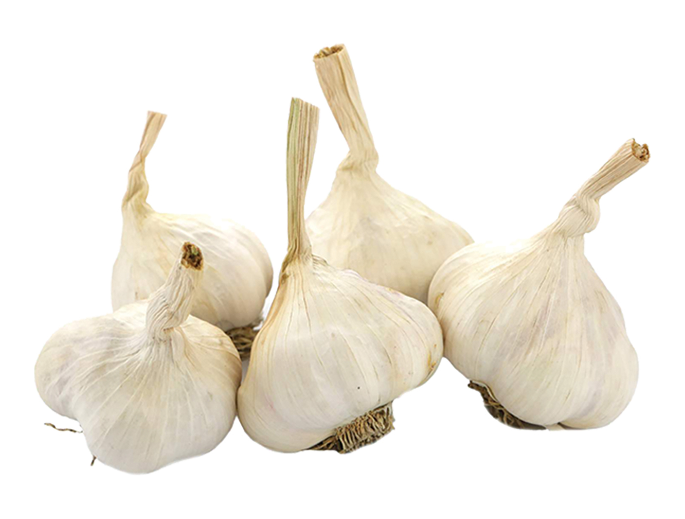 ČEŠNJAK PAK.250 g DUOCCIO
