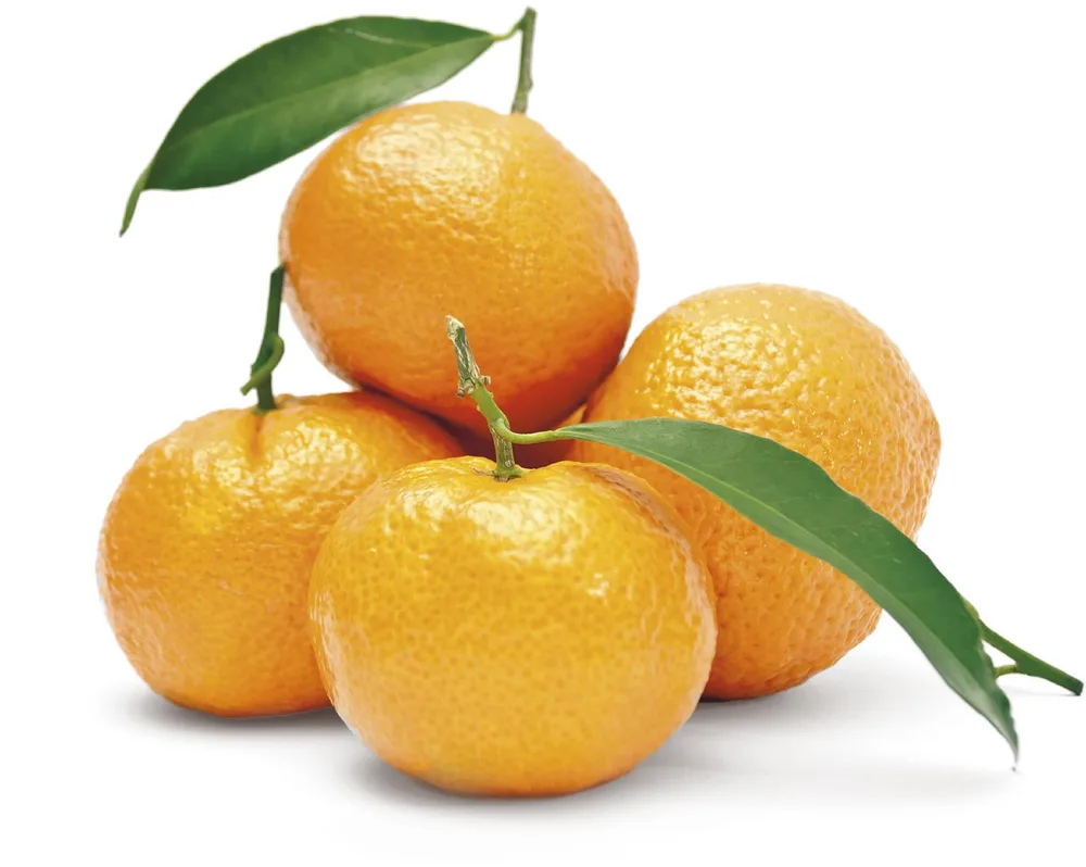 MANDARINA 2,3kg
