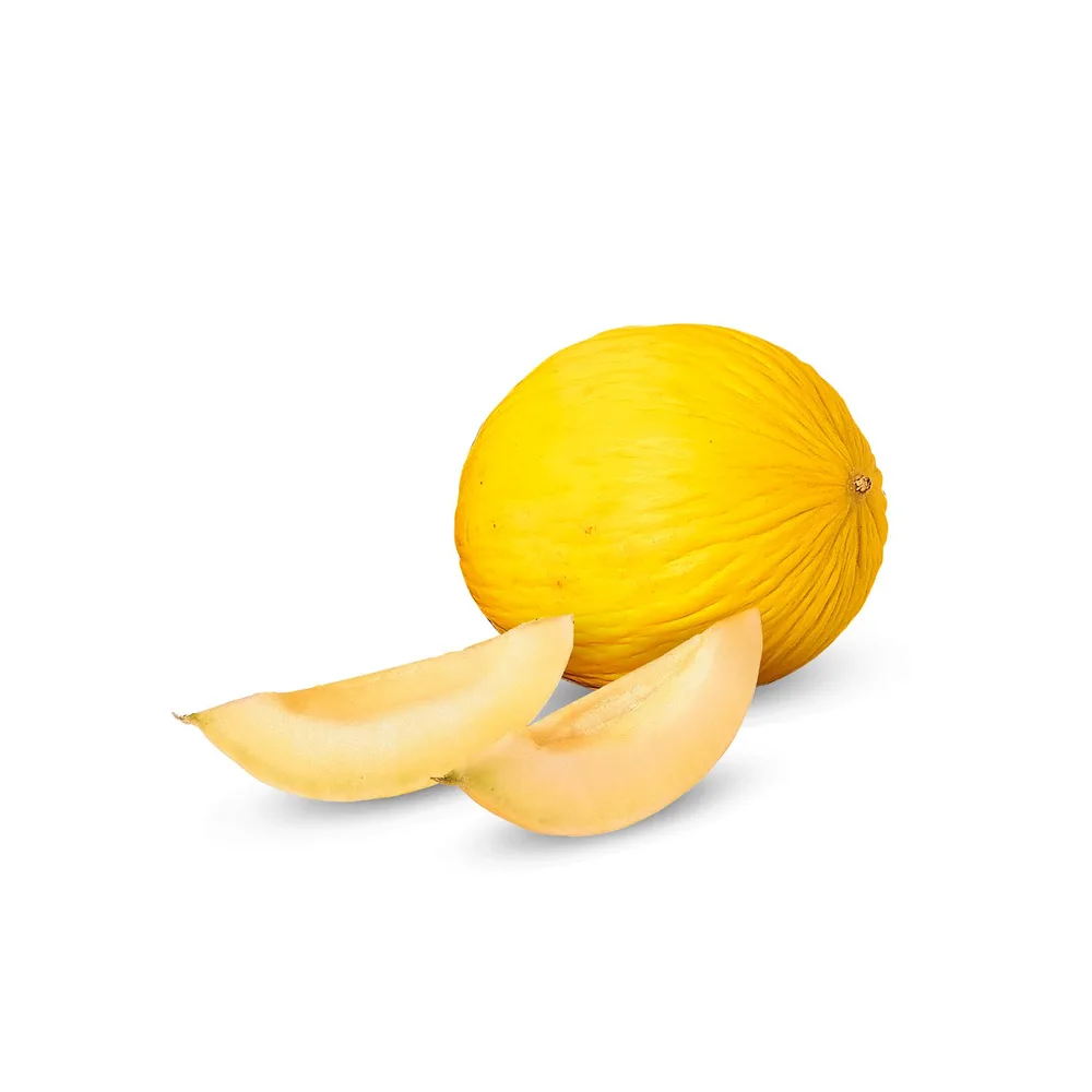 DINJA ŽUTA rfz